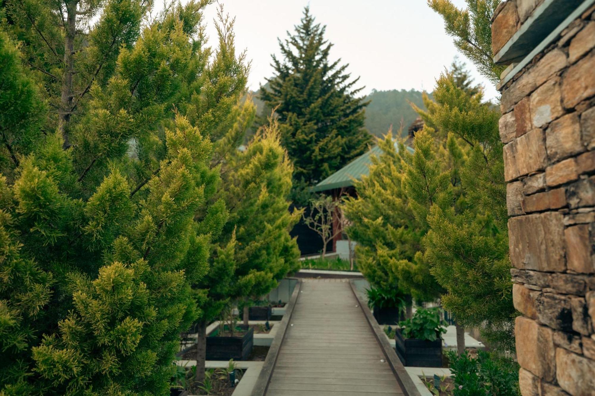 Brij Atmanya Bhowali, Nainital, A Luxury Mountain Escape Экстерьер фото